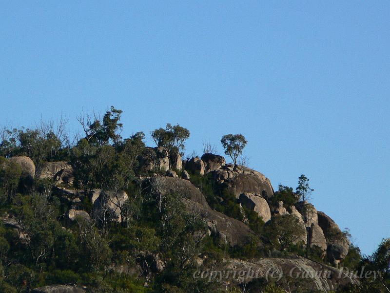 Granitic mountains, near Symphony Hill vineyardP1070889.JPG